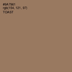#9A7961 - Toast Color Image