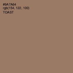 #9A7A64 - Toast Color Image