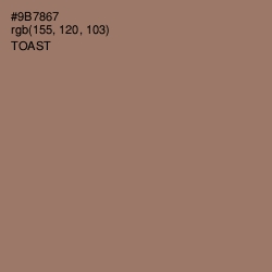 #9B7867 - Toast Color Image