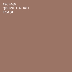 #9C7465 - Toast Color Image