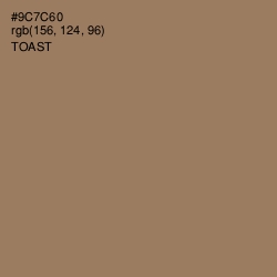 #9C7C60 - Toast Color Image