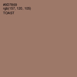 #9D7869 - Toast Color Image