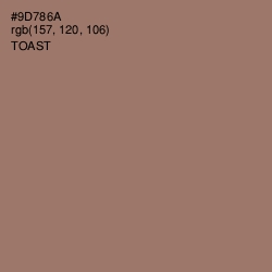 #9D786A - Toast Color Image