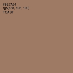 #9E7A64 - Toast Color Image