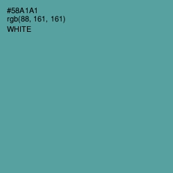 #58A1A1 - Tradewind Color Image