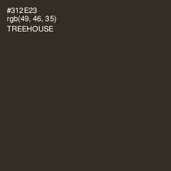 #312E23 - Treehouse Color Image
