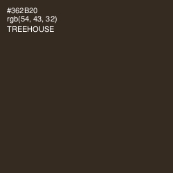 #362B20 - Treehouse Color Image