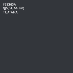 #33363A - Tuatara Color Image