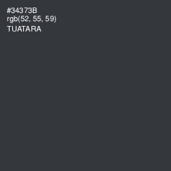 #34373B - Tuatara Color Image