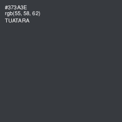 #373A3E - Tuatara Color Image