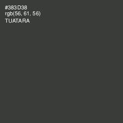 #383D38 - Tuatara Color Image