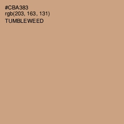 #CBA383 - Tumbleweed Color Image