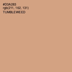 #D3A283 - Tumbleweed Color Image