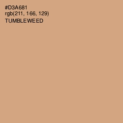 #D3A681 - Tumbleweed Color Image