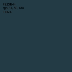 #223B44 - Tuna Color Image