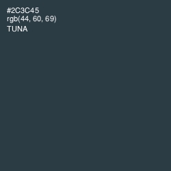 #2C3C45 - Tuna Color Image