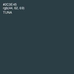 #2C3E45 - Tuna Color Image