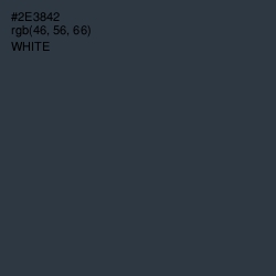 #2E3842 - Tuna Color Image