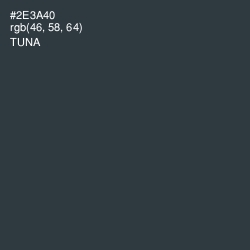 #2E3A40 - Tuna Color Image