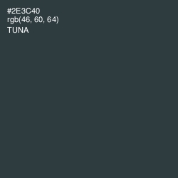 #2E3C40 - Tuna Color Image