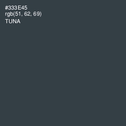 #333E45 - Tuna Color Image