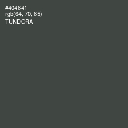 #404641 - Tundora Color Image