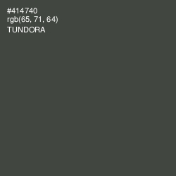 #414740 - Tundora Color Image