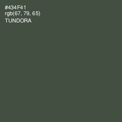 #434F41 - Tundora Color Image
