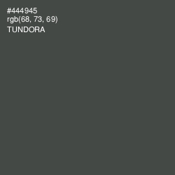 #444945 - Tundora Color Image