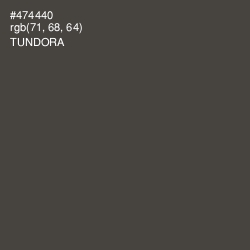 #474440 - Tundora Color Image