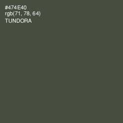 #474E40 - Tundora Color Image
