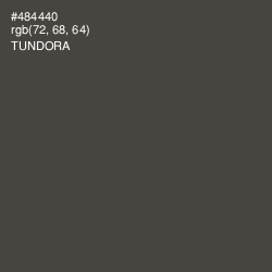 #484440 - Tundora Color Image