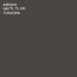 #4B4644 - Tundora Color Image