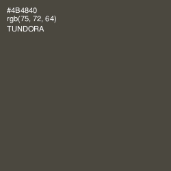 #4B4840 - Tundora Color Image