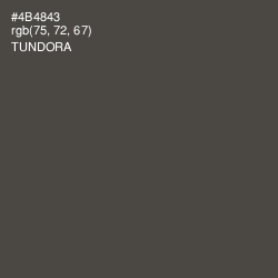 #4B4843 - Tundora Color Image