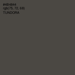 #4B4844 - Tundora Color Image