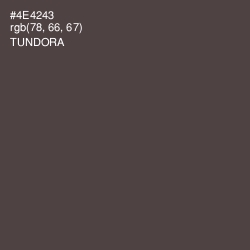 #4E4243 - Tundora Color Image