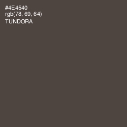 #4E4540 - Tundora Color Image
