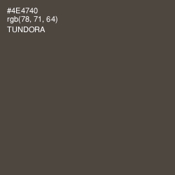 #4E4740 - Tundora Color Image