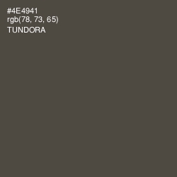 #4E4941 - Tundora Color Image