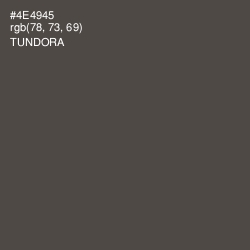 #4E4945 - Tundora Color Image