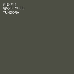 #4E4F44 - Tundora Color Image