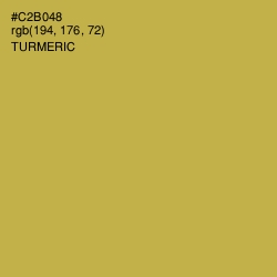 #C2B048 - Turmeric Color Image
