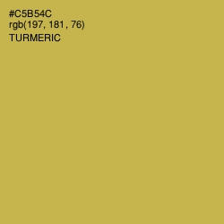 #C5B54C - Turmeric Color Image