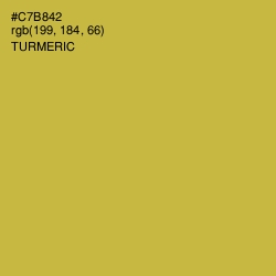#C7B842 - Turmeric Color Image