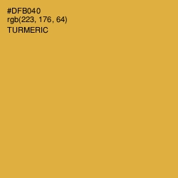 #DFB040 - Turmeric Color Image
