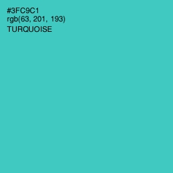 #3FC9C1 - Turquoise Color Image