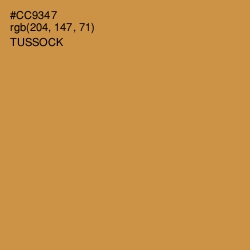 #CC9347 - Tussock Color Image