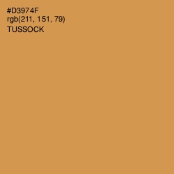 #D3974F - Tussock Color Image