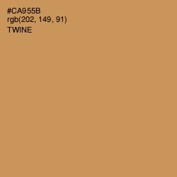 #CA955B - Twine Color Image